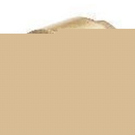 Обратный клапан с латунным штоком, 11/2"г/г (стандарт) (1\24) TIM